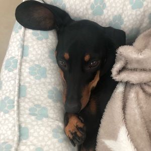 Meet your Posher, Elizabeth